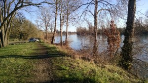 IMG_20150216_081430223