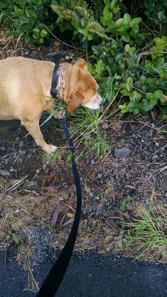 IMG_20150302_155117047[1]