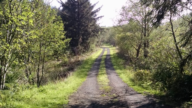 IMG_20150427_171607512[1]