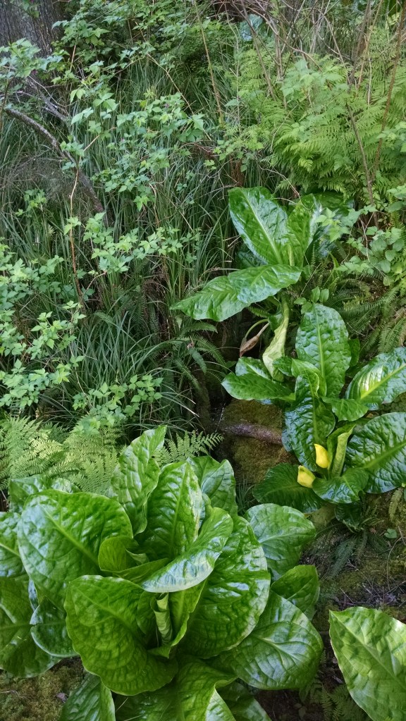 IMG_20150427_172305014[1]