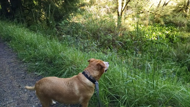 IMG_20150427_172429213[1]