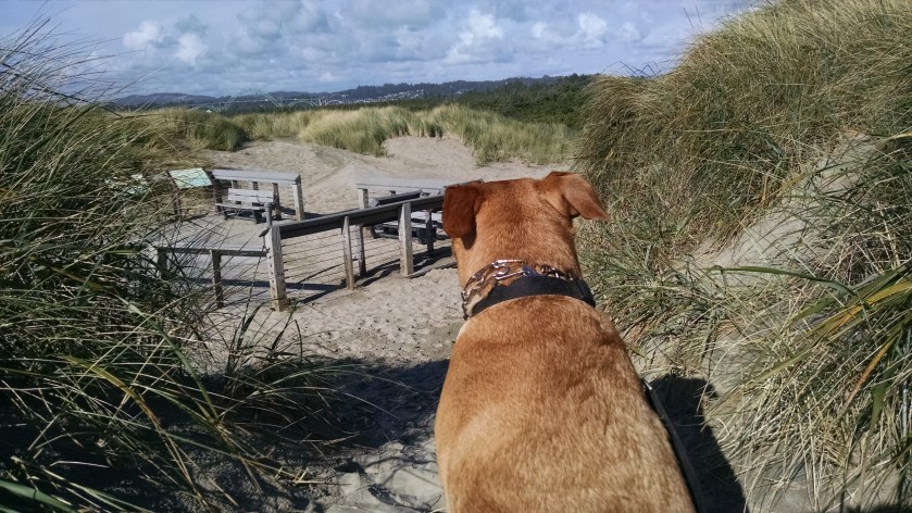 IMG_20150903_164207601[1]