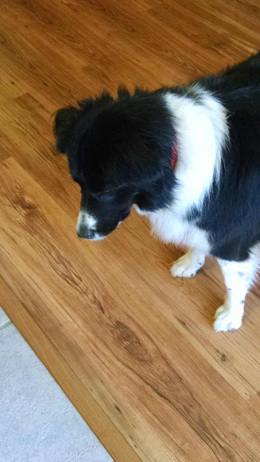 IMG_20151127_120041095