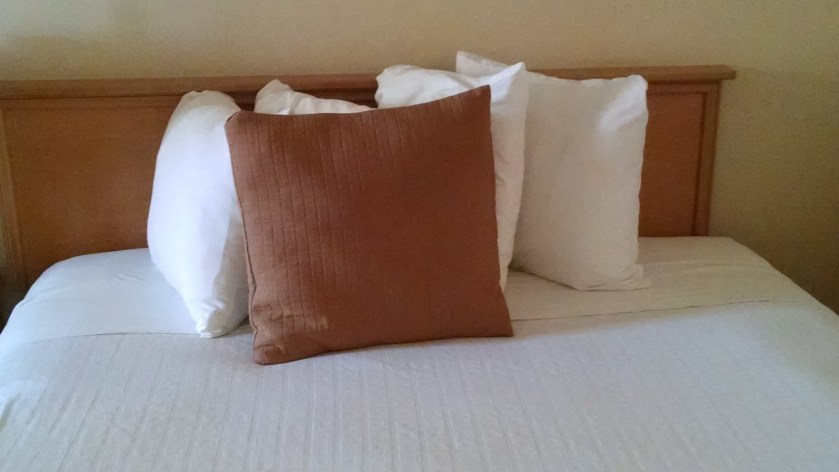 IMG_20151129_160428005[1]