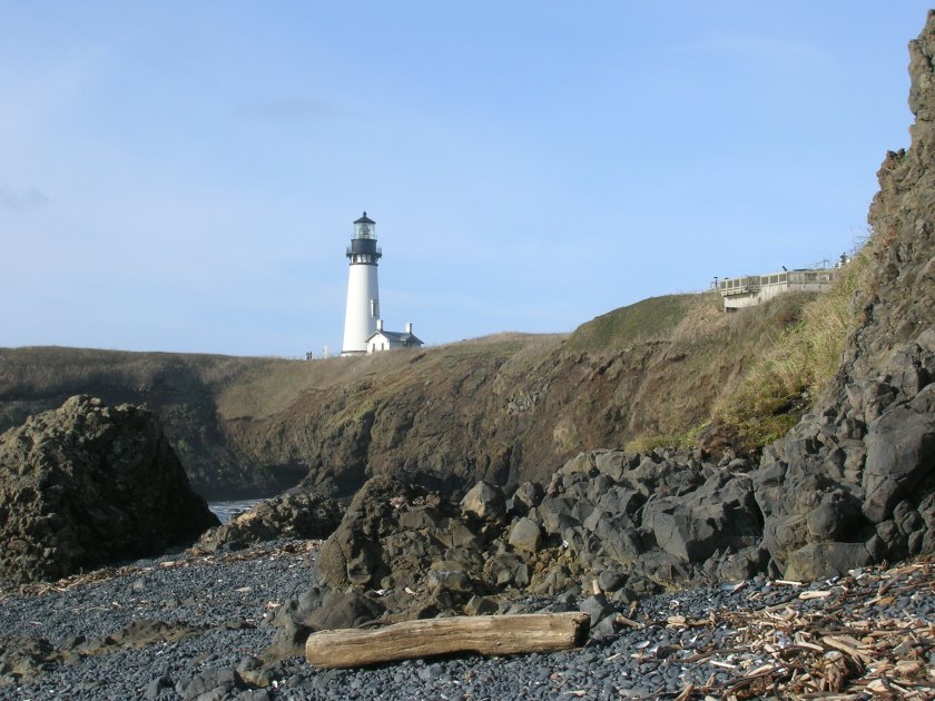 Yaquina Head 1115F
