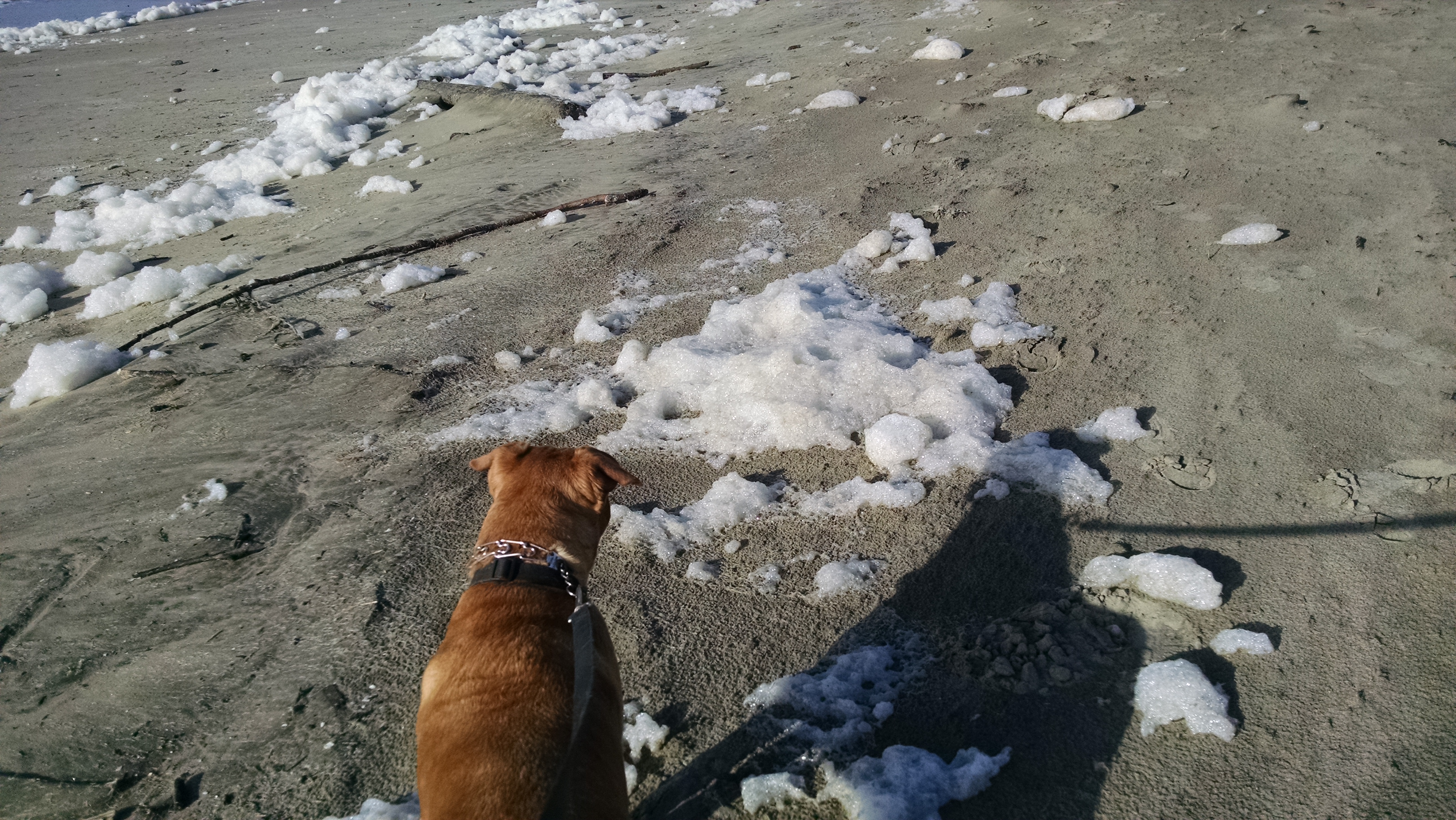 IMG_20160128_143925788[1]