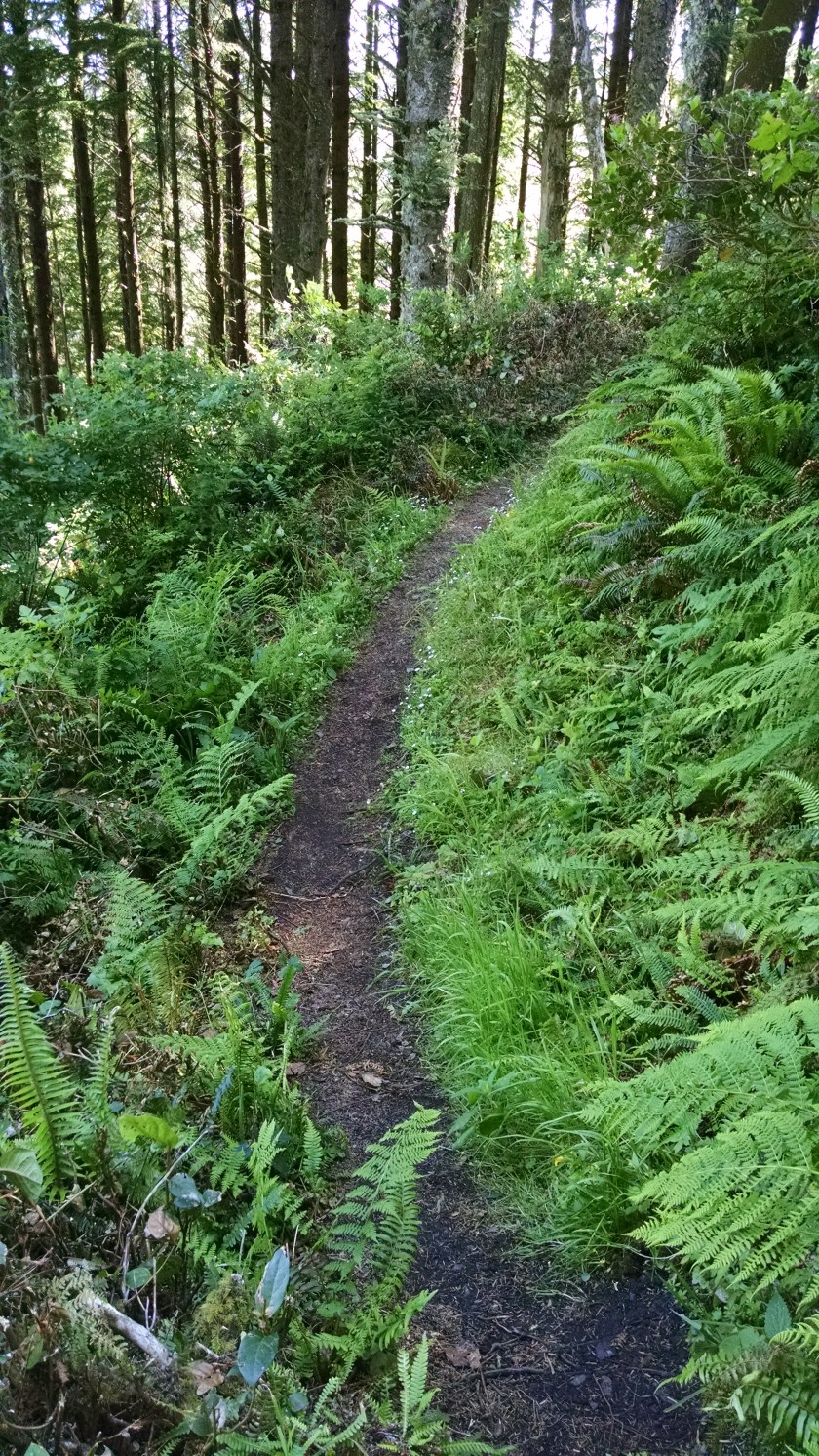 IMG_20160612_110927911[1]