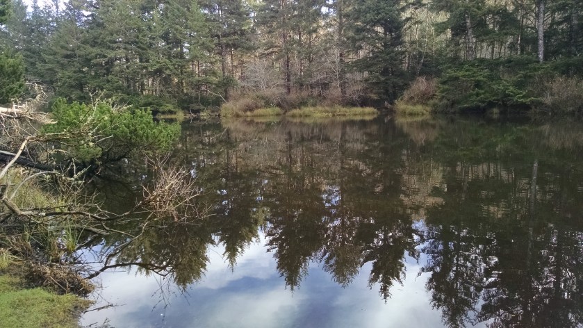 beaver-creek-122116bb