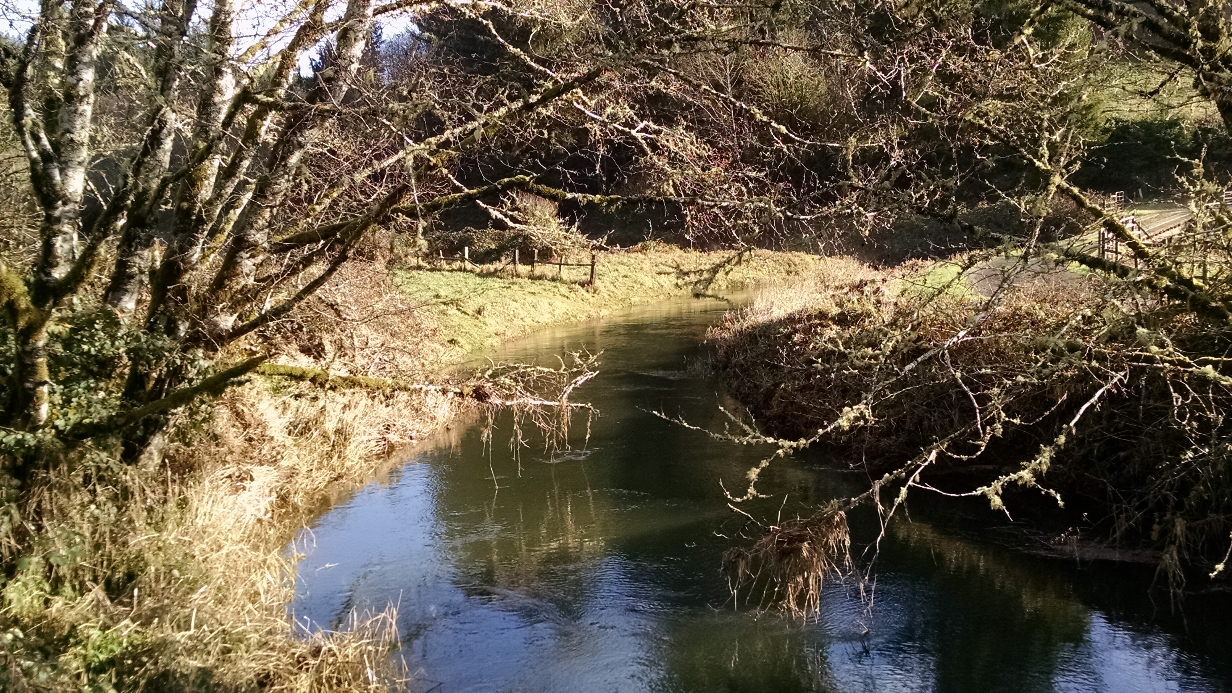 beaver-creek-122116m
