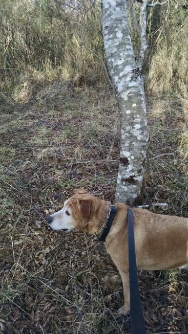 img_20170128_1505229871