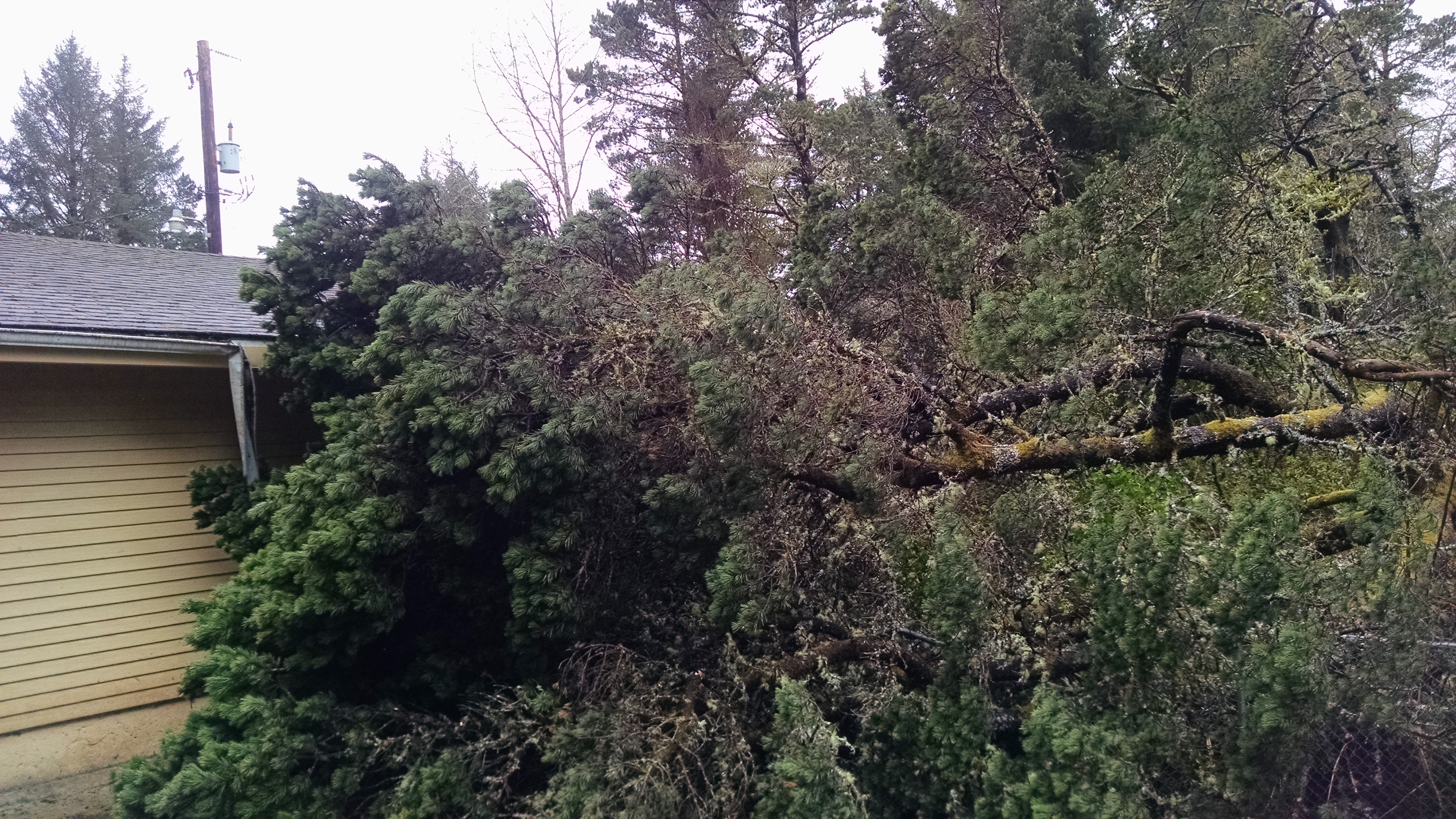 IMG_20170407_084446728[1]