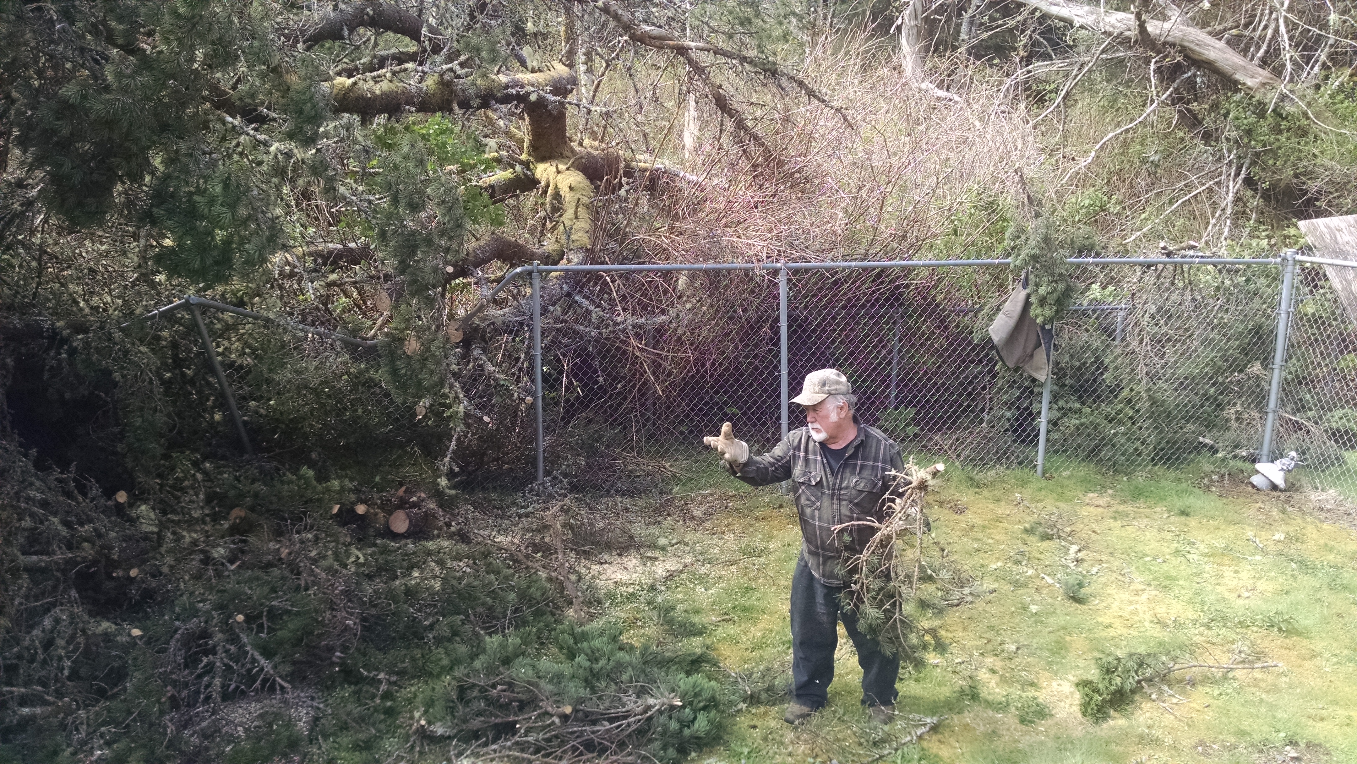 IMG_20170408_145059574[1]