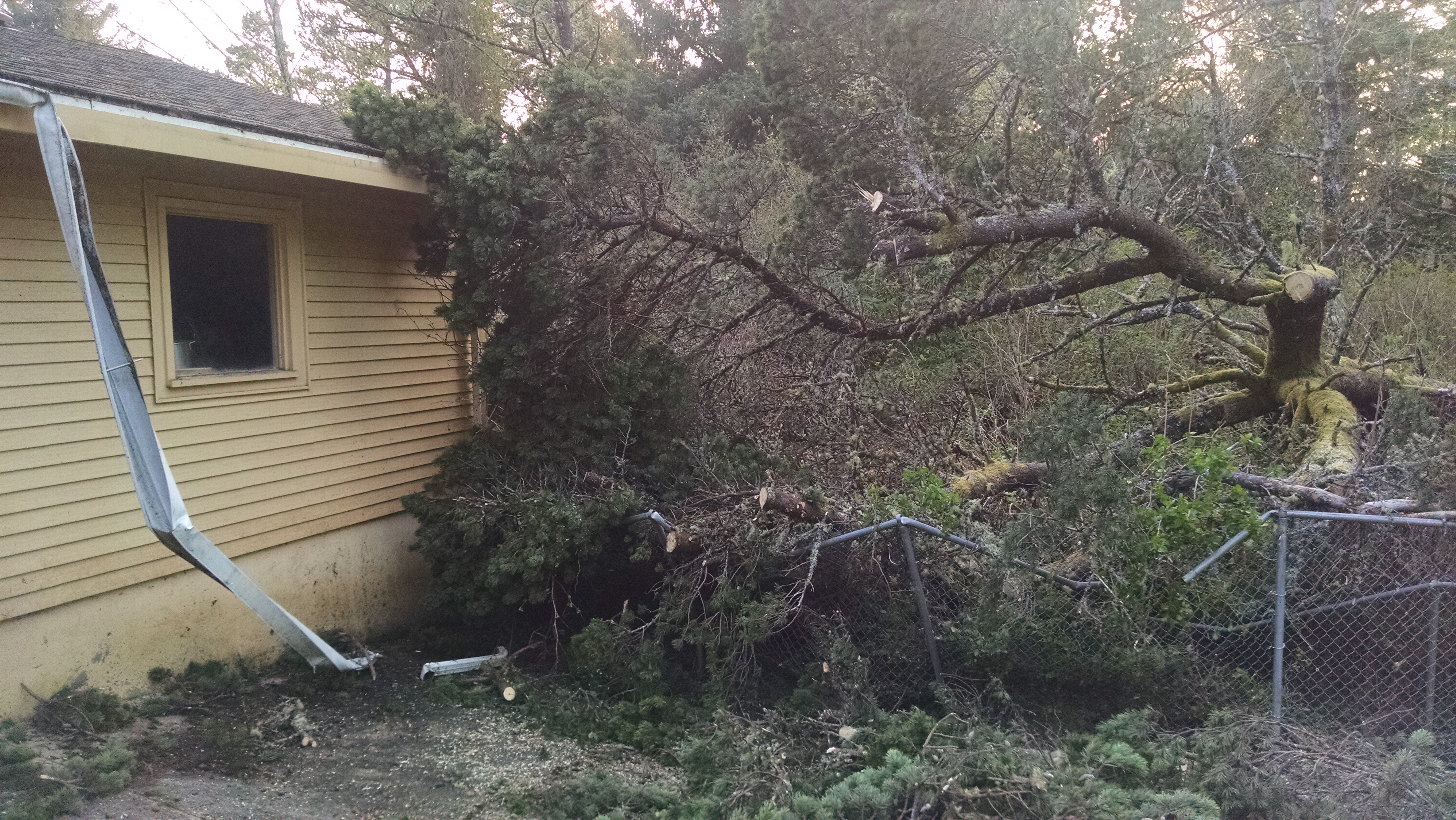 IMG_20170408_191948310[1]