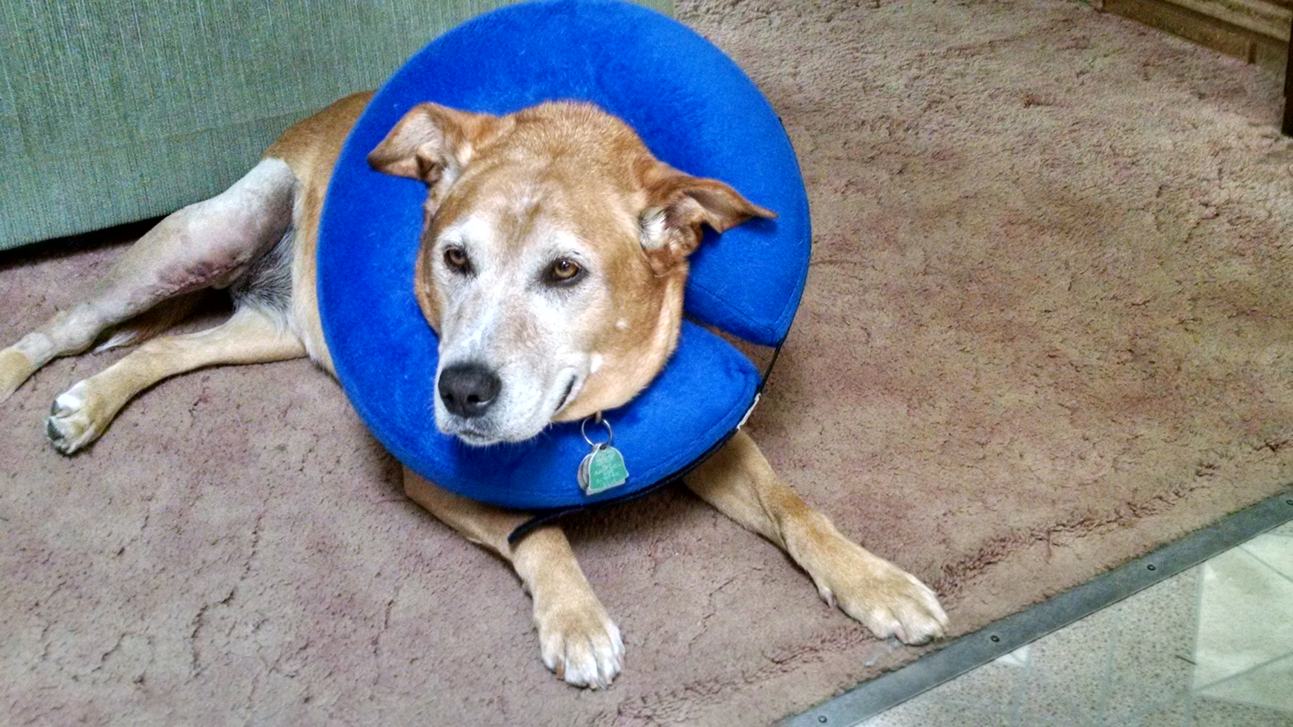 IMG_20170601_163600329_HDR[1]