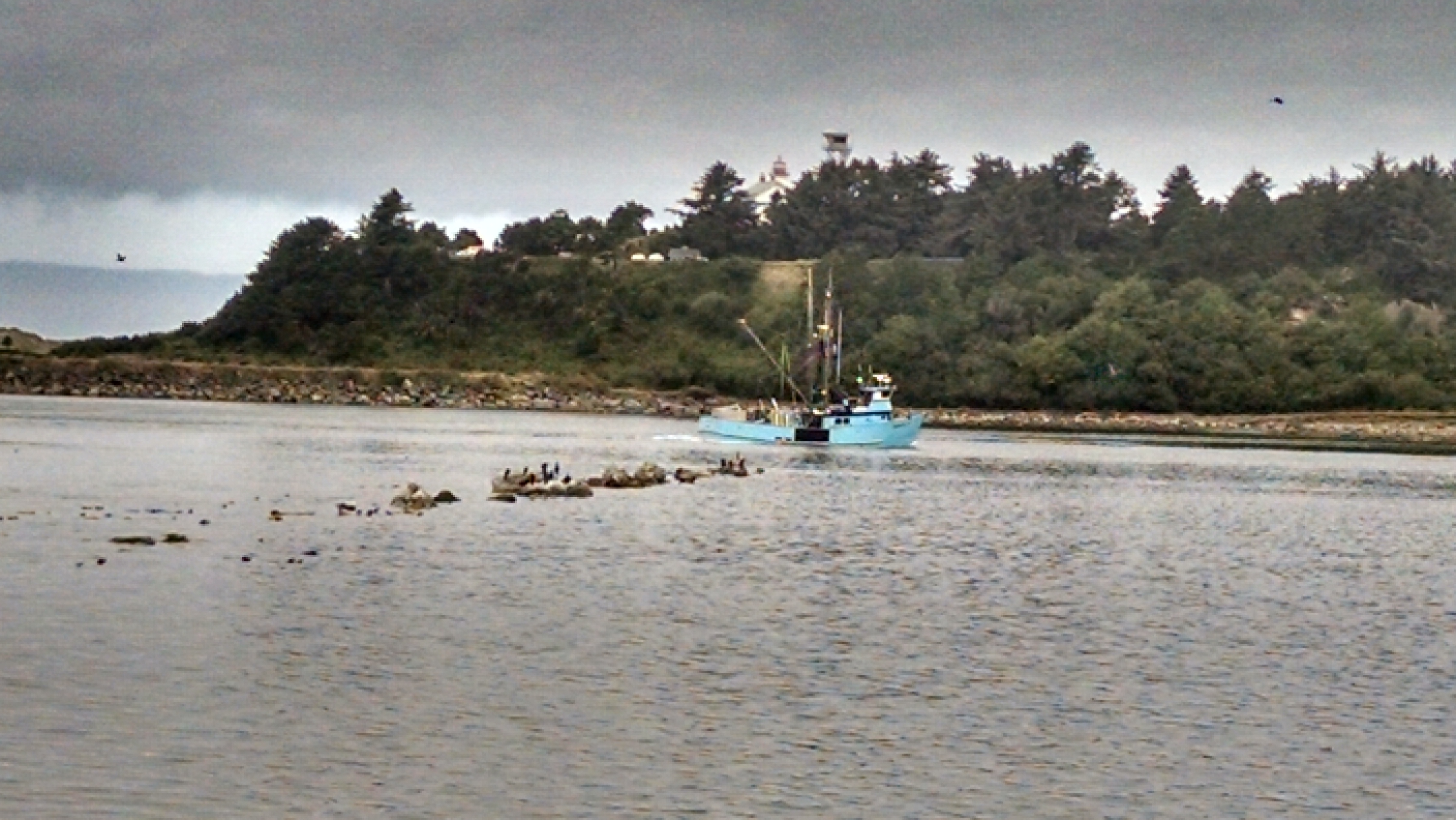 IMG_20170817_111230377_HDR[1]