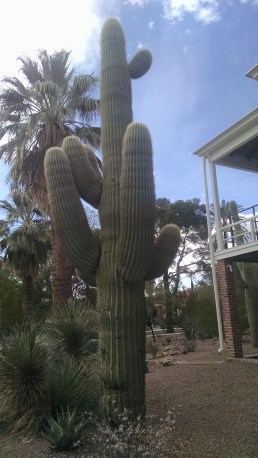 IMG_20180311_153719123[1]