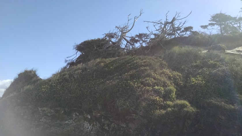 IMG_20181006_123331997[1]