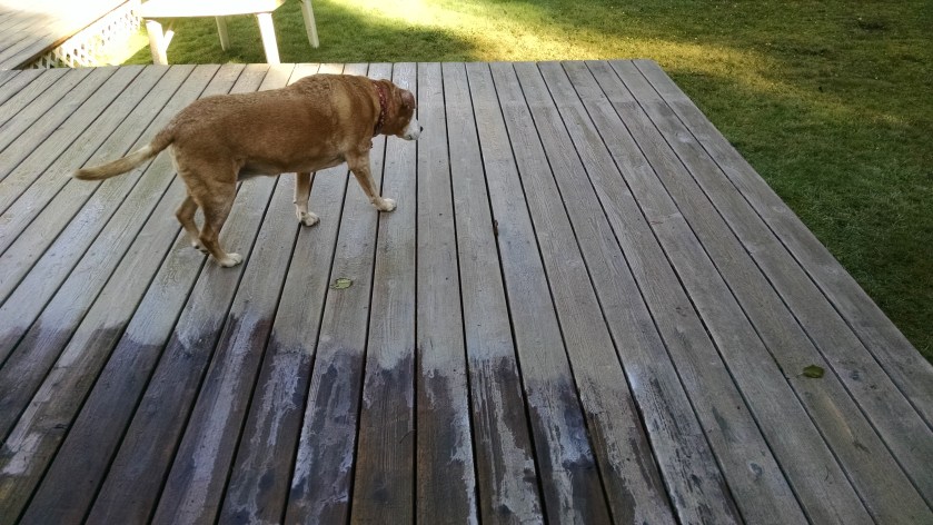 IMG_20191027_113156516[1]